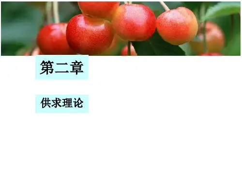 第2章西方经济学供求理论