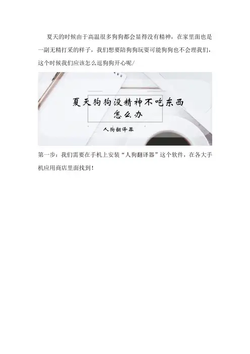 夏天狗狗没精神不吃东西怎么办