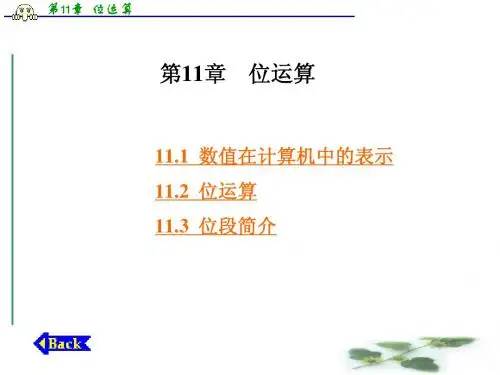 第11章 位运算