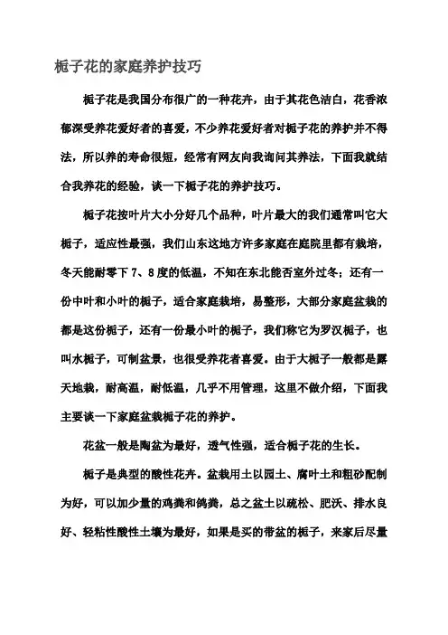 栀子花的家庭养护技巧