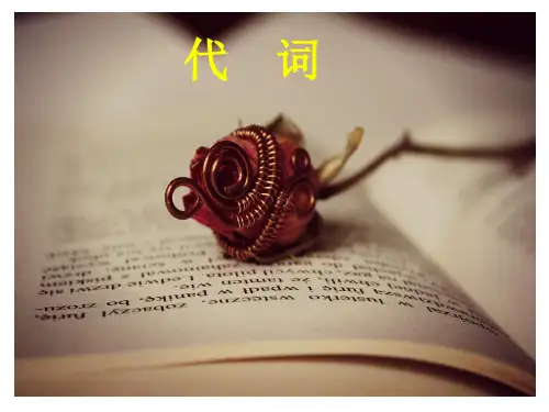 中职英语高三第一轮复习英语语法专题--代词练习