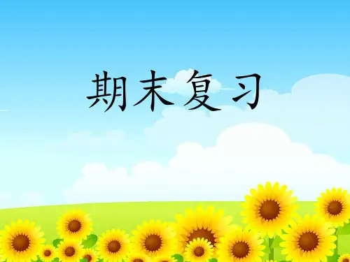20以内数的认识复习
