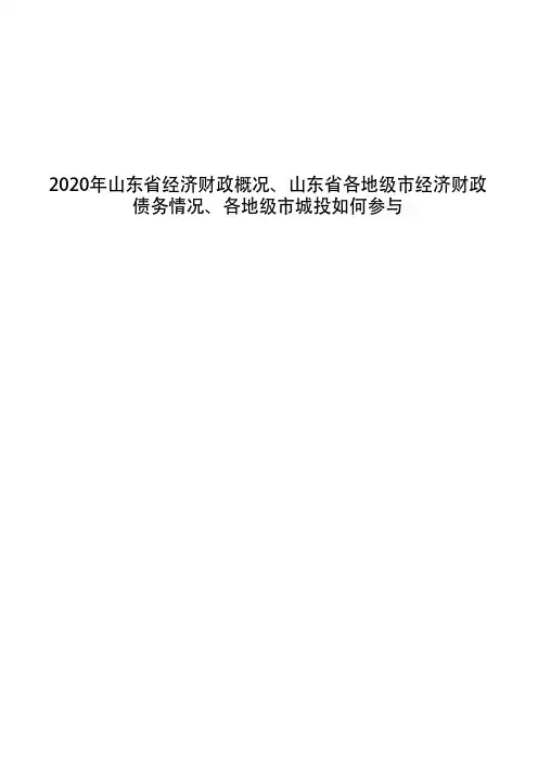2020年山东省经济财政概况、山东省各地级市经济财政债务情况、各地级市城投如何参与