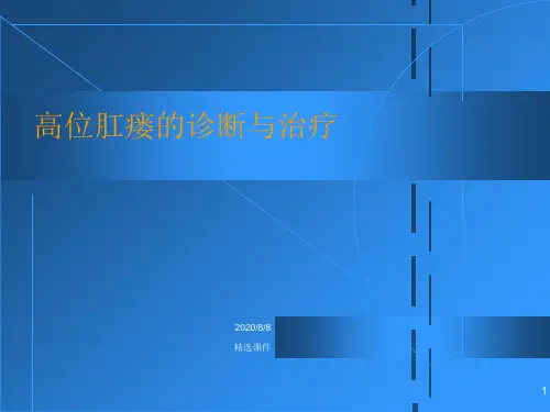 高位肛瘘.ppt
