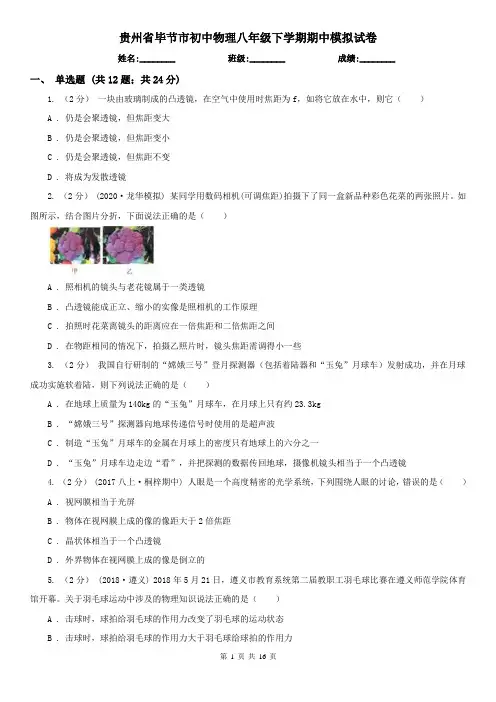 贵州省毕节市初中物理八年级下学期期中模拟试卷