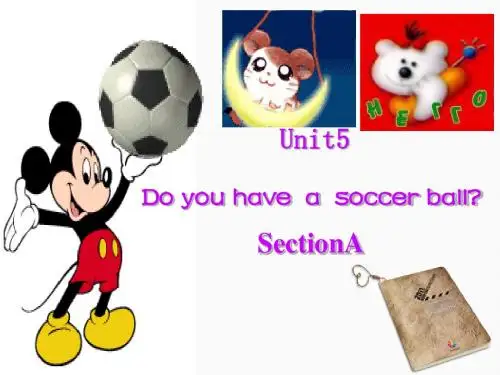七年级英语上册 Unit5 Do you have a soccer ball课件 人教新目标版
