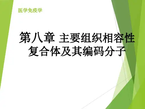 免疫学组织相容性复合体