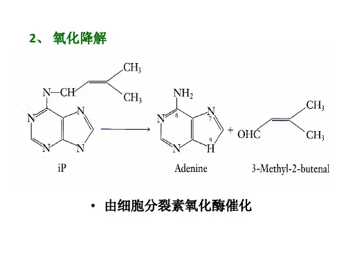 植物生理 第八章第二部分