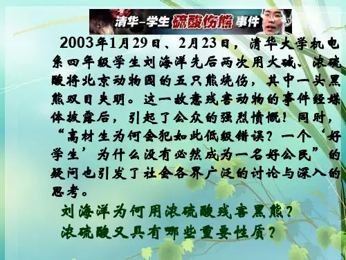 高一化学硫酸PPT课件 图文