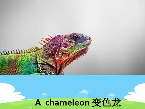 牛津英语选修八Unit1Reading(共21张PPT)