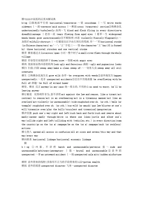 横-11114-高低码汉英双解词典