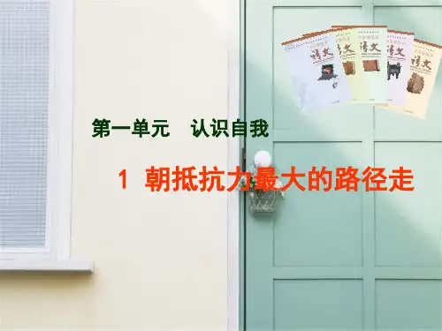 朝抵抗力最大的路径走PPT教学课件