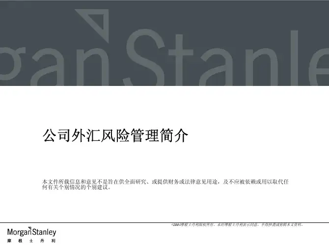 公司外汇风险管理简介