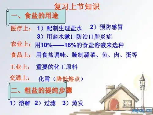 课题1 生活中常见的盐 第三课时