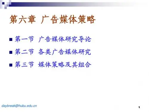 6-广告媒体策略
