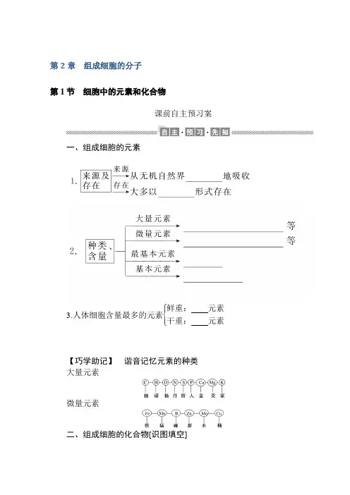 2020-2021学年高一生物新教材人教版必修1学案：第2章 第1节 细胞中的元素和化合物