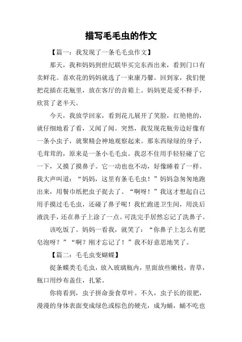 描写毛毛虫的作文