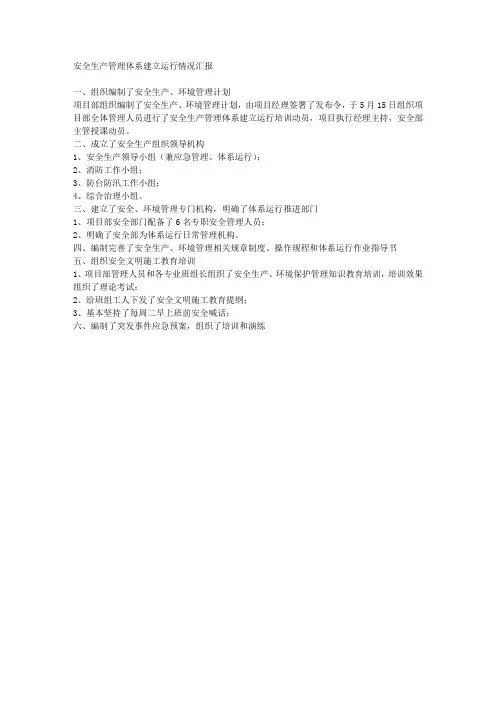 安全生产管理体系建立运行情况汇报 2
