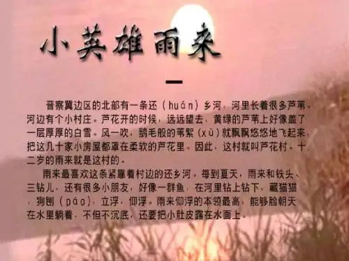 13小英雄雨来s版课件