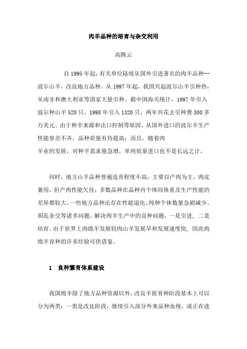肉羊品种的培育与杂交利用