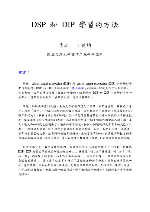 DSP 和 DIP 学习方法