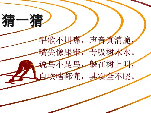 19.蝉优质课课件