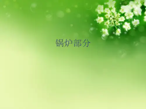 锅炉部分优秀课件