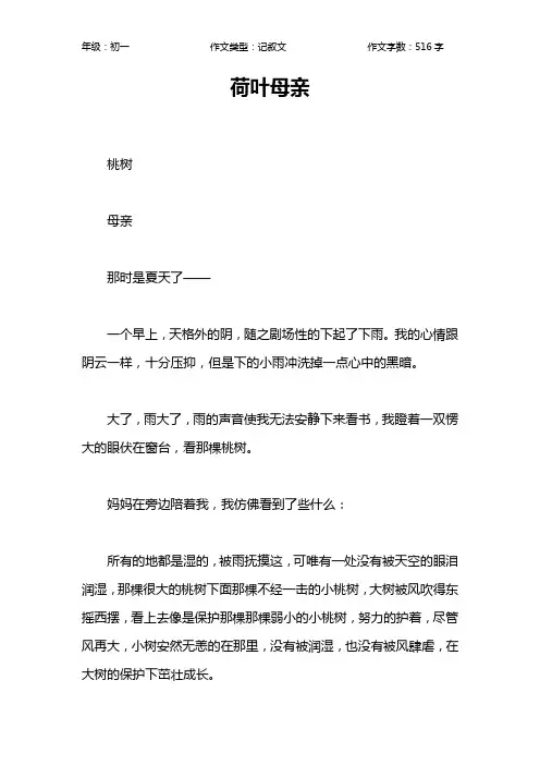 荷叶母亲作文【初中初一500字】_2