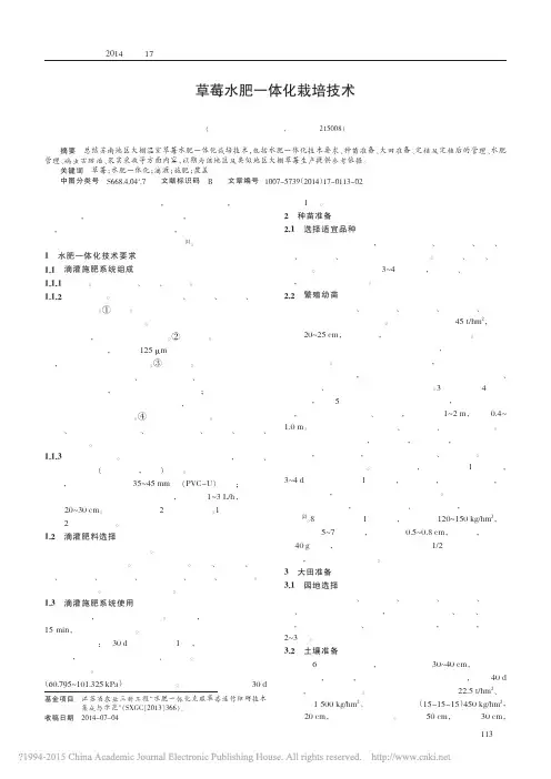 草莓水肥一体化栽培技术_许乃霞