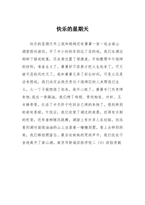 小学二年级作文：快乐的星期天