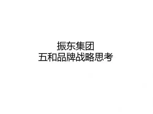 振东集团战略思考1