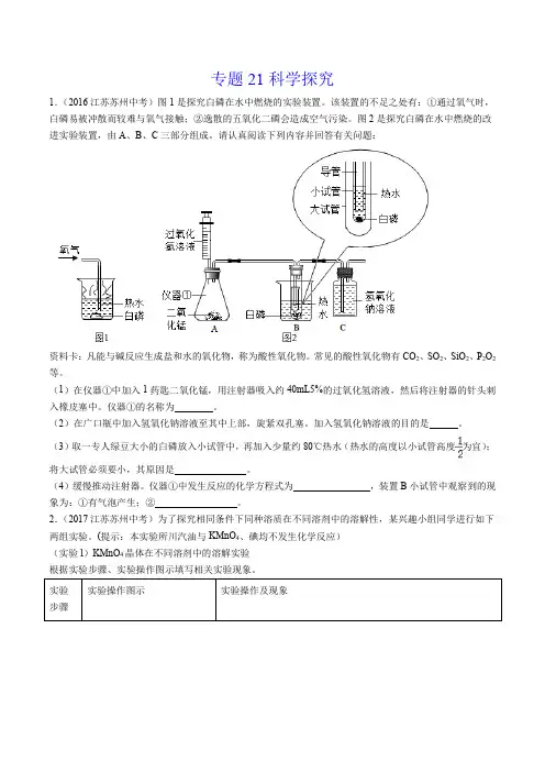 《科学探究》2022年中考化学试题分项详解(苏州专用)(打印版)