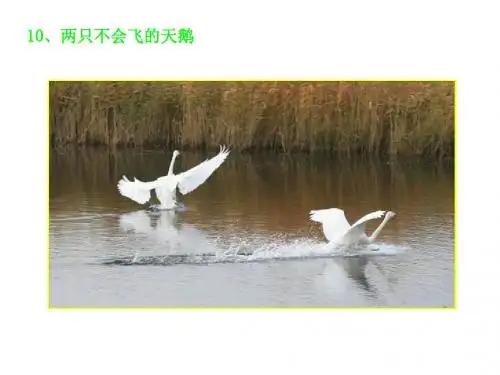 扬起自信的风帆3