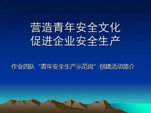 营造青年安全文化促进企业安全生产ppt