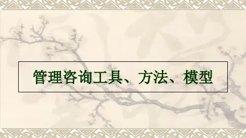 管理咨询工具方法模型概述(PPT 144页)