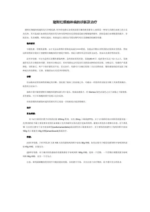 猪附红细胞体病的诊断及治疗 2