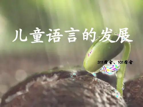 儿童心理学,语言发展