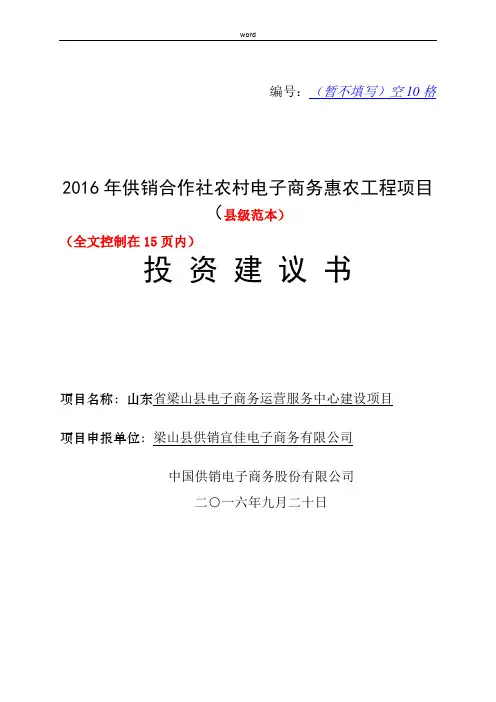 县级投资建议书范本
