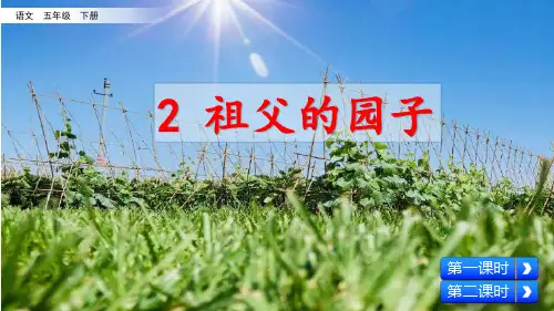 部编人教版五年级语文下册第2课《祖父的园子》公开课课件
