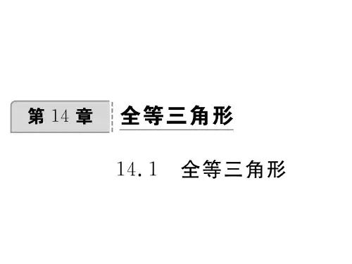 沪科版数学八年级上册14.1全等三角形书