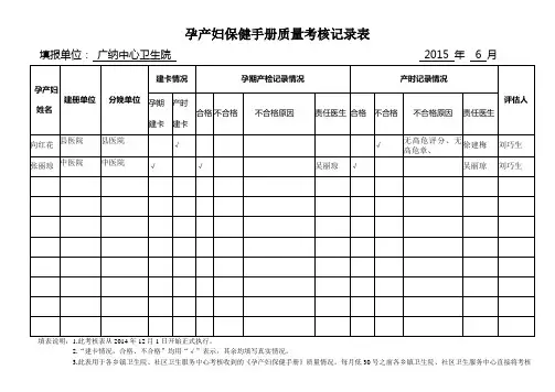 孕产妇保健手册质量考核统计表 (2)