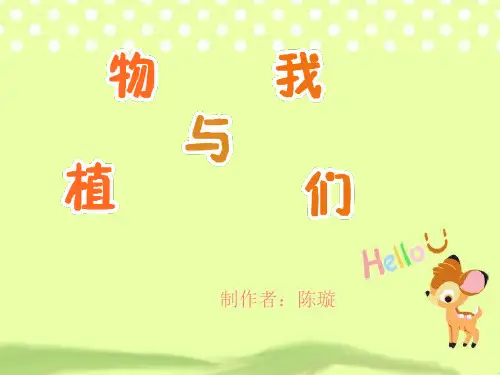 初中生物课件.ppt