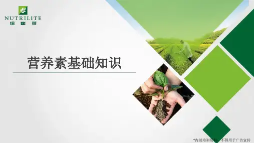 营养基础班-营养素基础知识