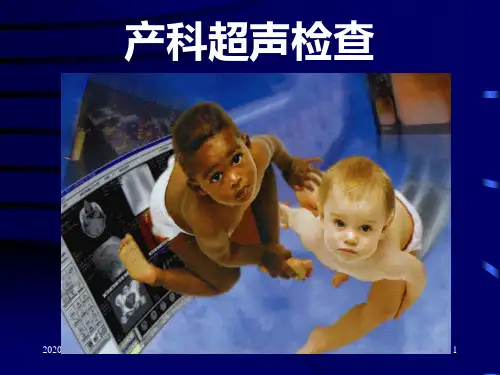 产科超声诊断-ppt医学影像学PPT课件