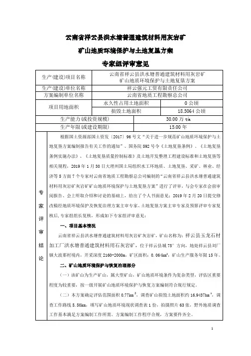 专家组评审意见 2