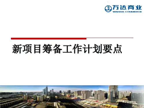 新项目筹备工作计划要点