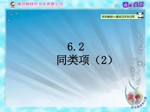 6.2 同类项(第2课时)