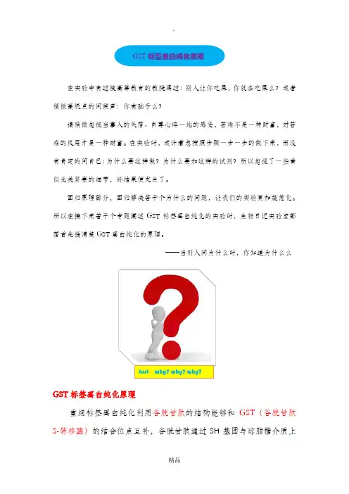 GST标签蛋白纯化原理