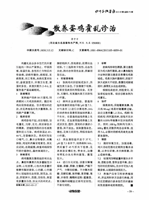 散养蛋鸡霍乱诊治
