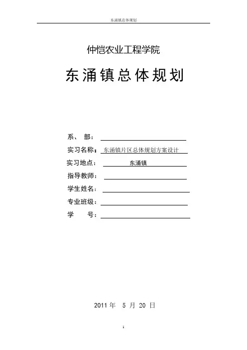 东涌镇区总体规划调查报告